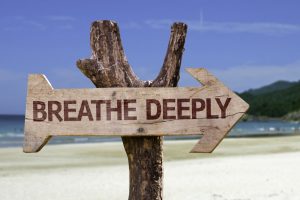 A wooden arrow sign nailed to a small tree on a beach. The sign reads 'breathe deeply'.